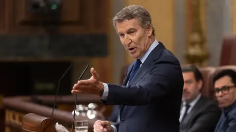 El presidente del PP, Alberto Núñez Feijóo El presidente del PP, Alberto Núñez Feijóo