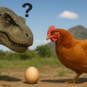 Ni Pa Ti Ni Pa Mí - ¿Qué fue primero, la gallina o el huevo?