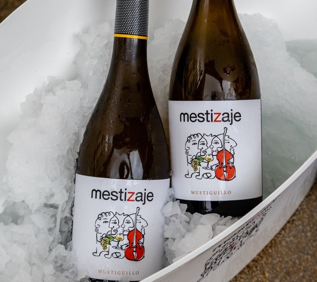 Mestizaje 2024: el vino blanco valenciano que nace a 900 metros de altura y conquista el paladar Mestizaje 2024: el vino blanco valenciano que nace a 900 metros de altura y conquista el paladar