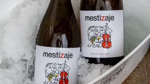 Vino Mustiguillo 2024