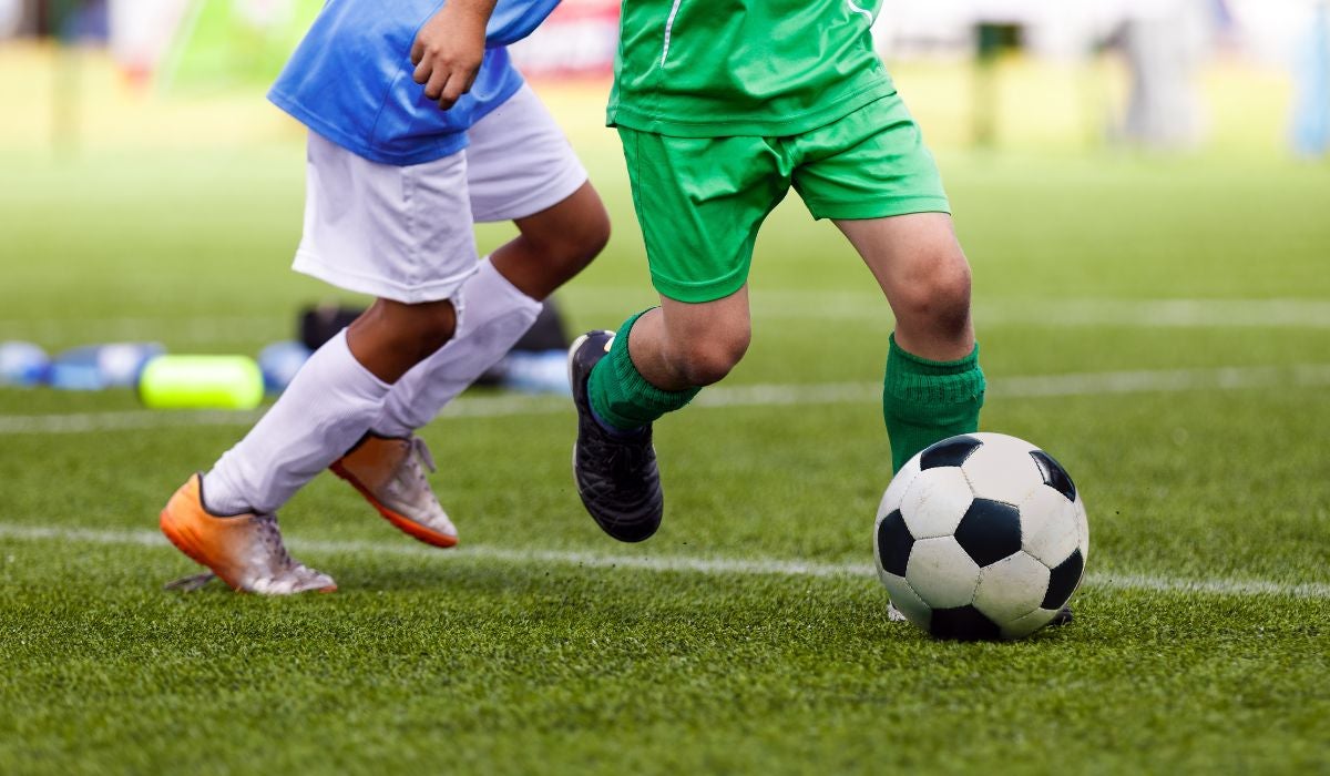 Álava sanciona con 11.000 € a un padre por violencia verbal e intento de agresión Álava sanciona con 11.000 € a un padre por violencia verbal e intento de agresión