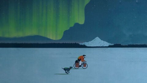 explorador
