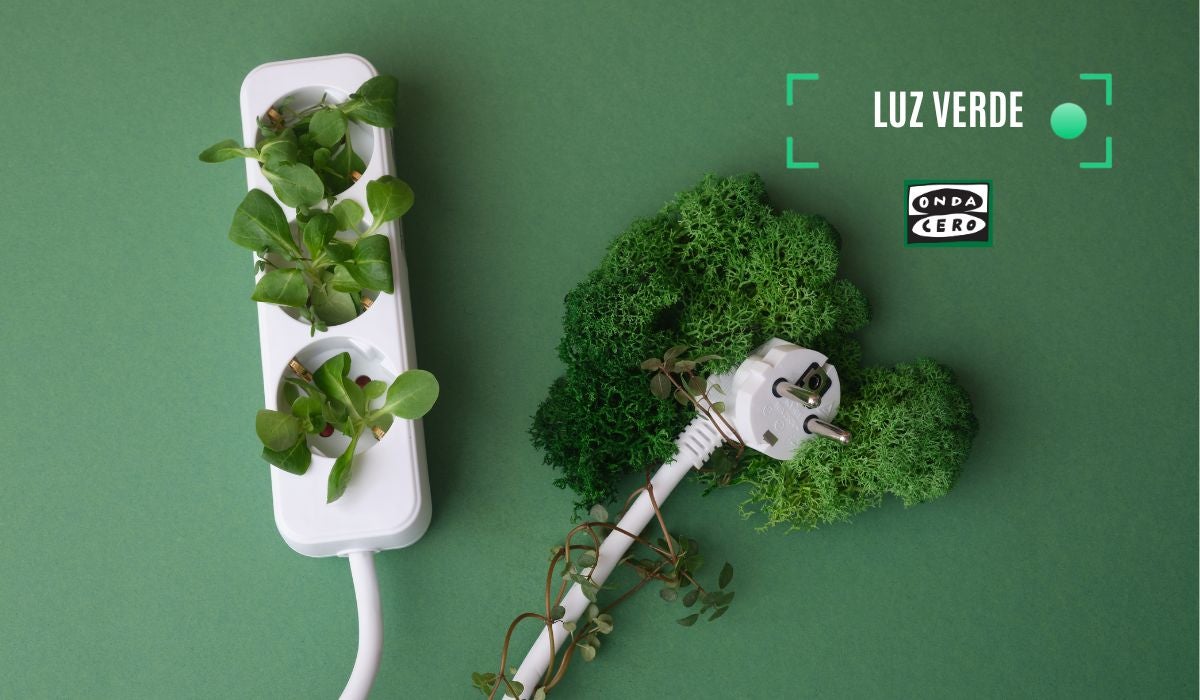 BBK Live y Repsol: música y energía por un futuro más verde BBK Live y Repsol: música y energía por un futuro más verde