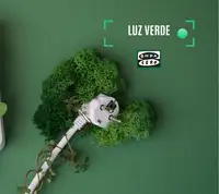 El escenario del Bilbao BBK Live 2025 será alimentado al 100% con energía renovable El escenario del Bilbao BBK Live 2025 será alimentado al 100% con energía renovable