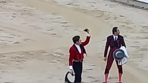 Guillermo Hermoso de Mendoza rejoneador