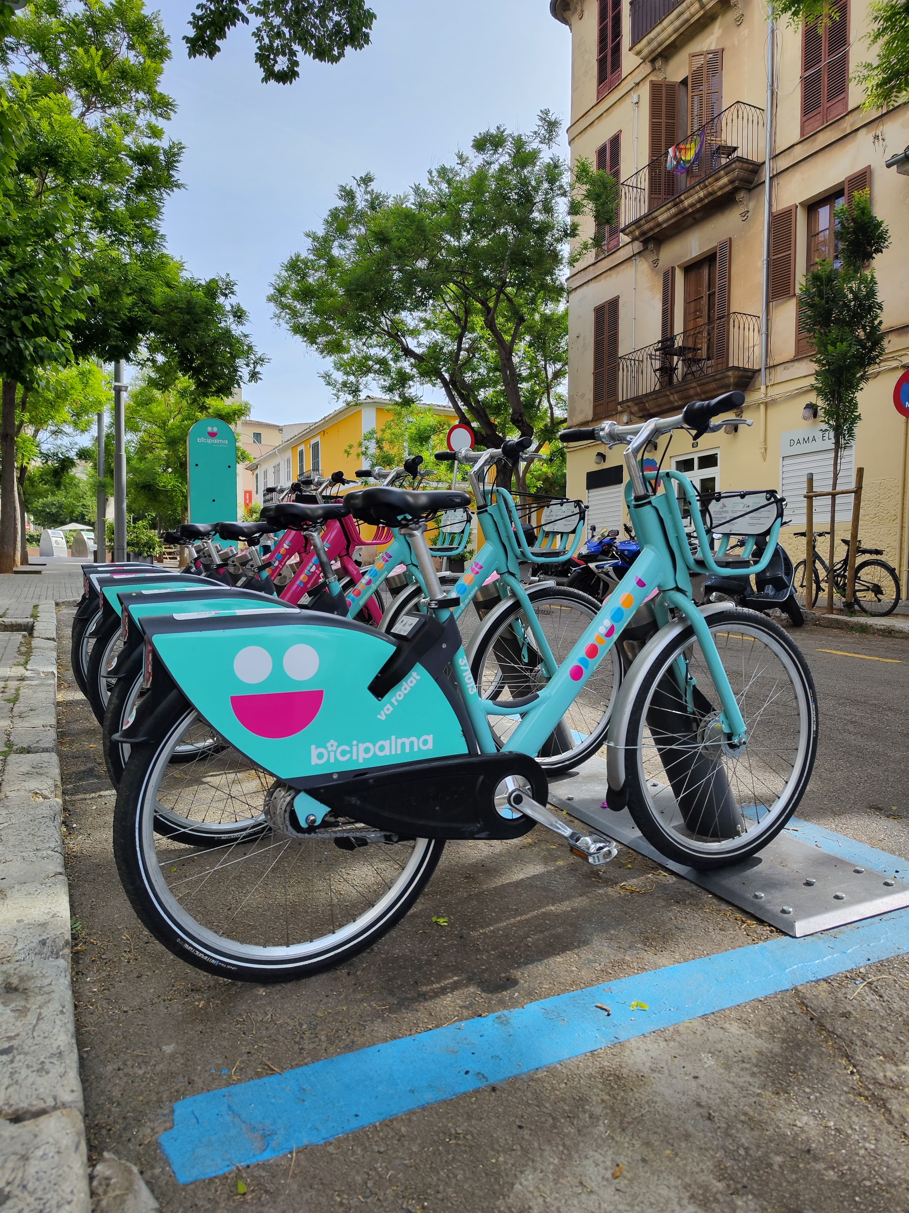 BiciPalma aumenta sus tarifas: la cuota anual sube a 30 euros a partir de agosto BiciPalma aumenta sus tarifas: la cuota anual sube a 30 euros a partir de agosto