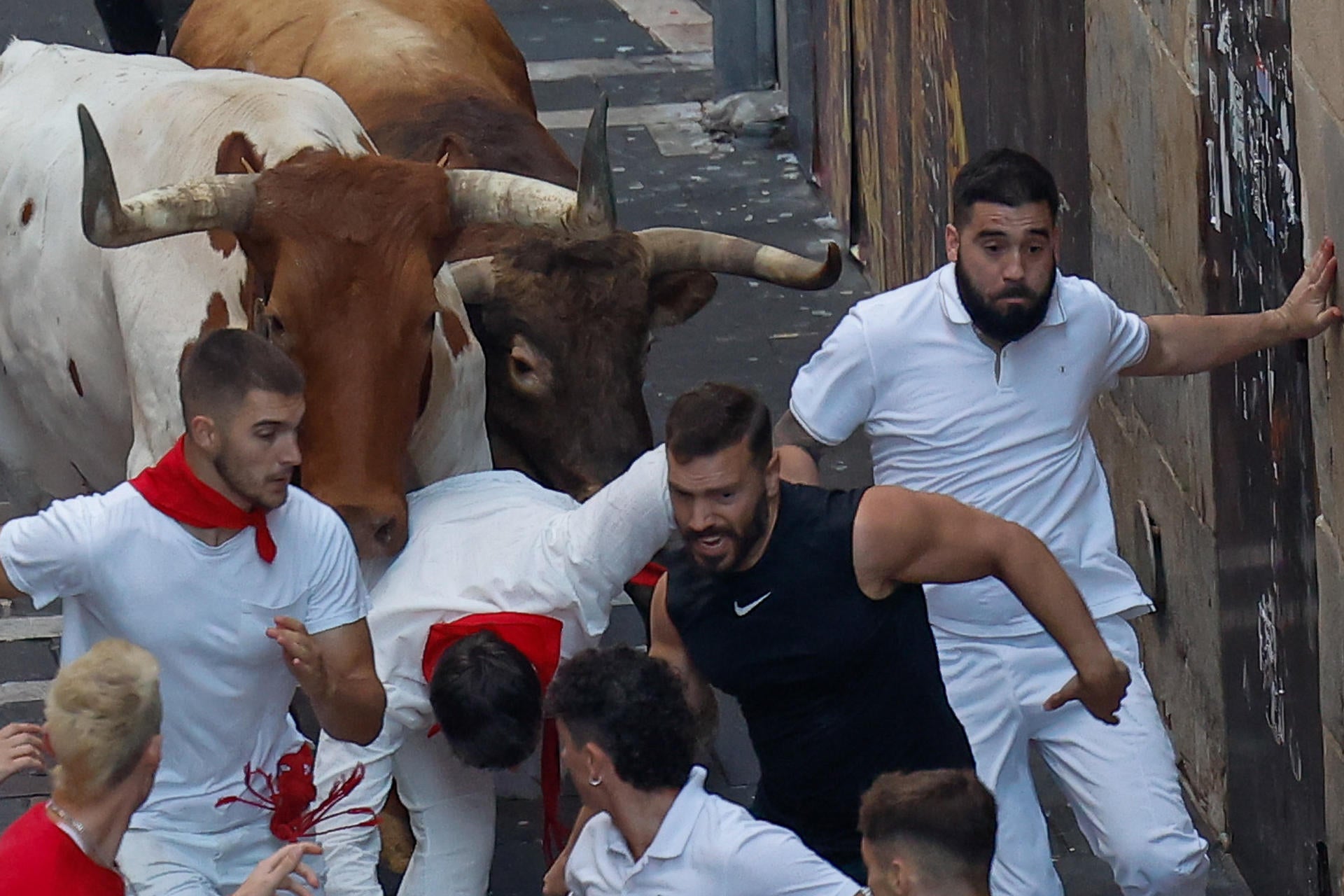 Los toros de La Palmosilla dejan un encierro rápido, peligroso y condicionado por el bullicio Los toros de La Palmosilla dejan un encierro rápido, peligroso y condicionado por el bullicio
