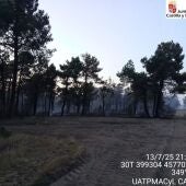 Medio centenar de hectáreas quemadas en el pinar del Monte 48 de Cuéllar en el primer incendio importante de la provincia este año