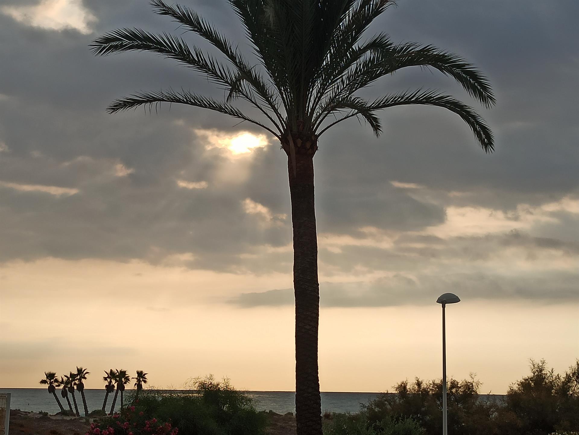 La Comunitat arranca la semana con intervalos nubosos y un descenso de las temperaturas máximas en Valencia La Comunitat arranca la semana con intervalos nubosos y un descenso de las temperaturas máximas en Valencia