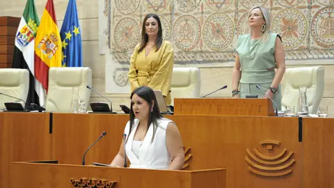 El VIII Plan de Juventud nace sin alma, sin compromiso político y sin conexión con las necesidades reales de los jóvenes El VIII Plan de Juventud nace sin alma, sin compromiso político y sin conexión con las necesidades reales de los jóvenes