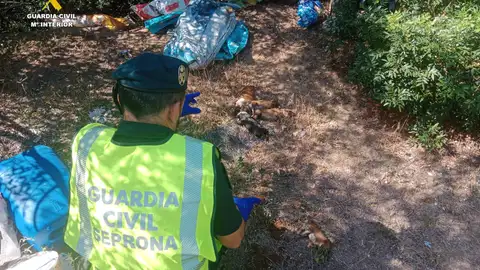 Imagen facilitada por la Guardia Civil. Imagen facilitada por la Guardia Civil.