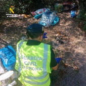 El Seprona ante los cachorros encontradois en Antella metidos en una bolsa en temperaturas extremas