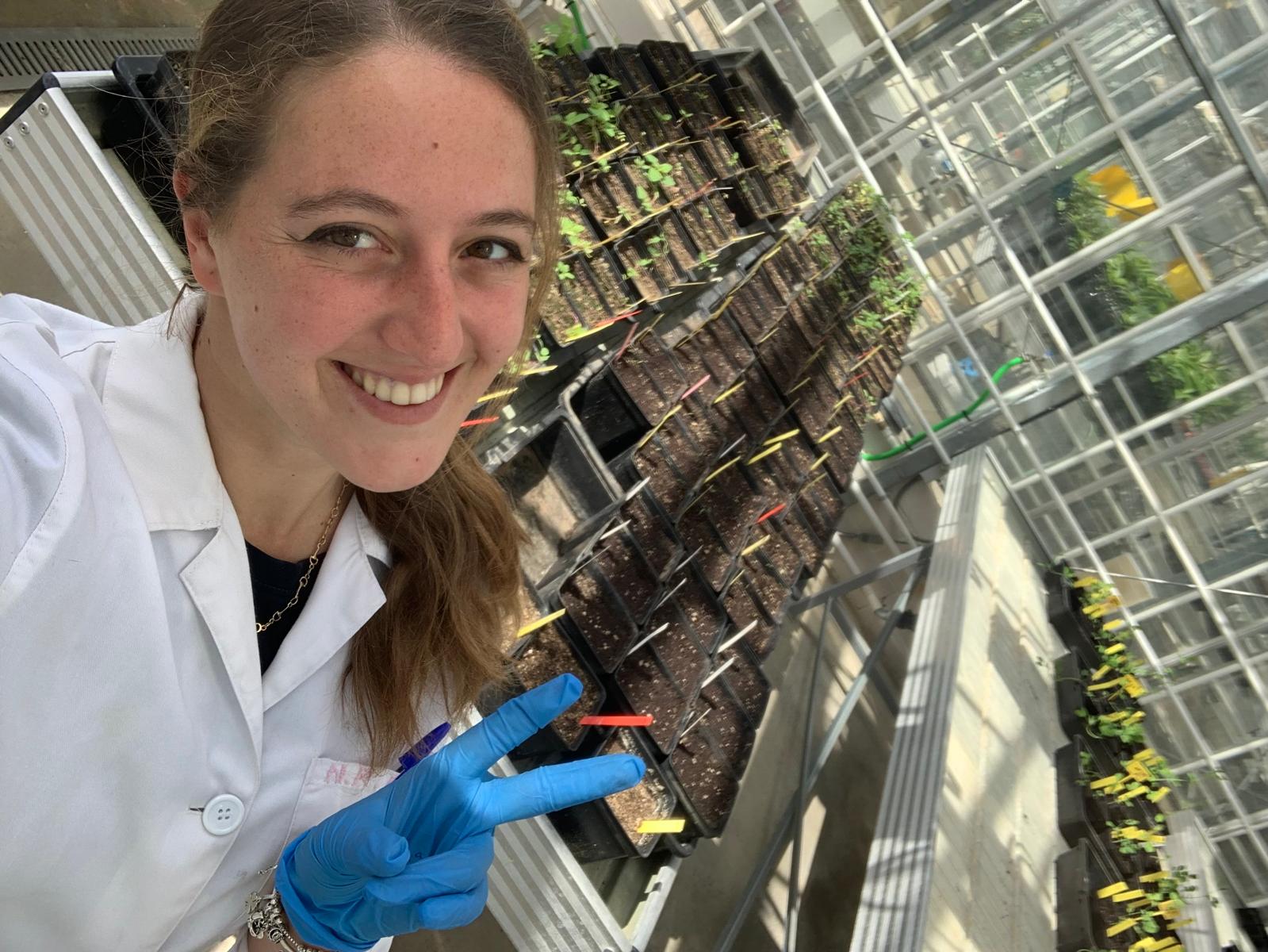 El objetivo de la investigadora Nazaret Romero: localizar la lenteja más resistente al cambio climático para cultivarla en la cuenca mediterránea El objetivo de la investigadora Nazaret Romero: localizar la lenteja más resistente al cambio climático para cultivarla en la cuenca mediterránea