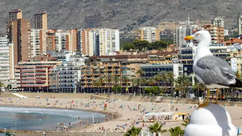 Benidorm destina 14.000 euros en ayudas para nuevos autónomos y emprendedores en 2025 Benidorm destina 14.000 euros en ayudas para nuevos autónomos y emprendedores en 2025