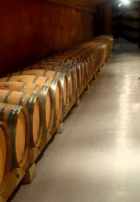 Las bodegas de Rioja y el enoturismo, ralentizado este verano Las bodegas de Rioja y el enoturismo, ralentizado este verano