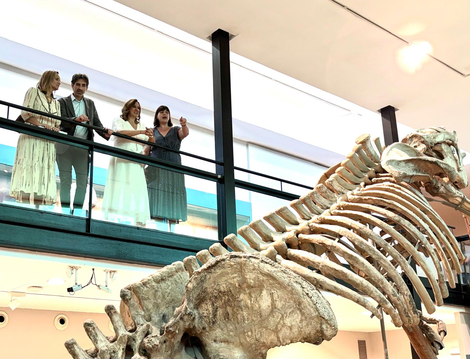 El Museo de Ciencias Naturales reabrirá el 29 de julio con una renovación tecnológica y se llamará El Paleontològic El Museo de Ciencias Naturales reabrirá el 29 de julio con una renovación tecnológica y se llamará El Paleontològic