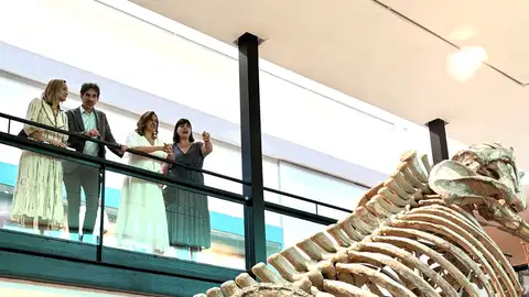 María José Catalá y José Luis Moreno durante la visita a la remodelación del Palenteològic María José Catalá y José Luis Moreno durante la visita a la remodelación del Palenteològic