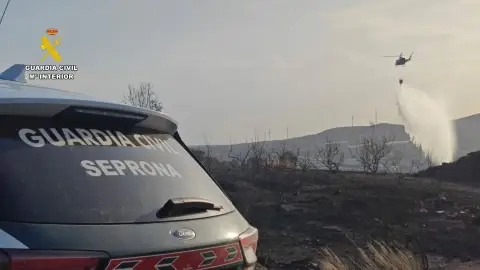 Detenida una mujer por provocar un incendio forestal intencionado en Villamesías y varios conatos en la zona Detenida una mujer por provocar un incendio forestal intencionado en Villamesías y varios conatos en la zona