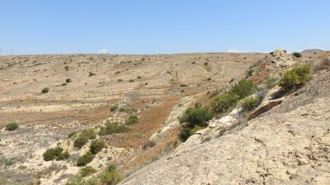 Serra Llarga de Elche.