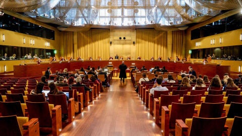 La vista celebrada por el Tribunal de Justicia de la Uni&oacute;n Europea sobre la amnist&iacute;a