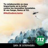 Incendios Forestales