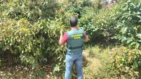 La Guardia Civil reactiva la investigaci&oacute;n del crimen de Meco