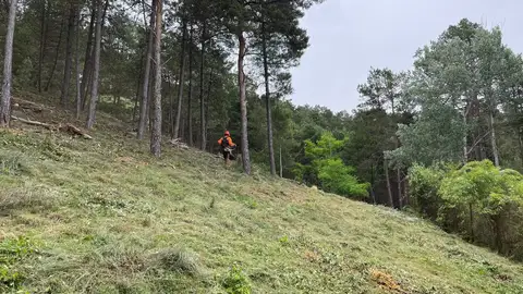 La CHD invierte cerca de 300.000€ en actuaciones de restauración y mejora del monte de Saldaña .