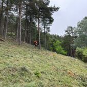 La CHD invierte cerca de 300.000€ en actuaciones de restauración y mejora del monte de Saldaña