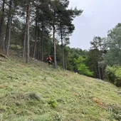 La CHD invierte cerca de 300.000€ en actuaciones de restauración y mejora del monte de Saldaña La CHD invierte cerca de 300.000€ en actuaciones de restauración y mejora del monte de Saldaña