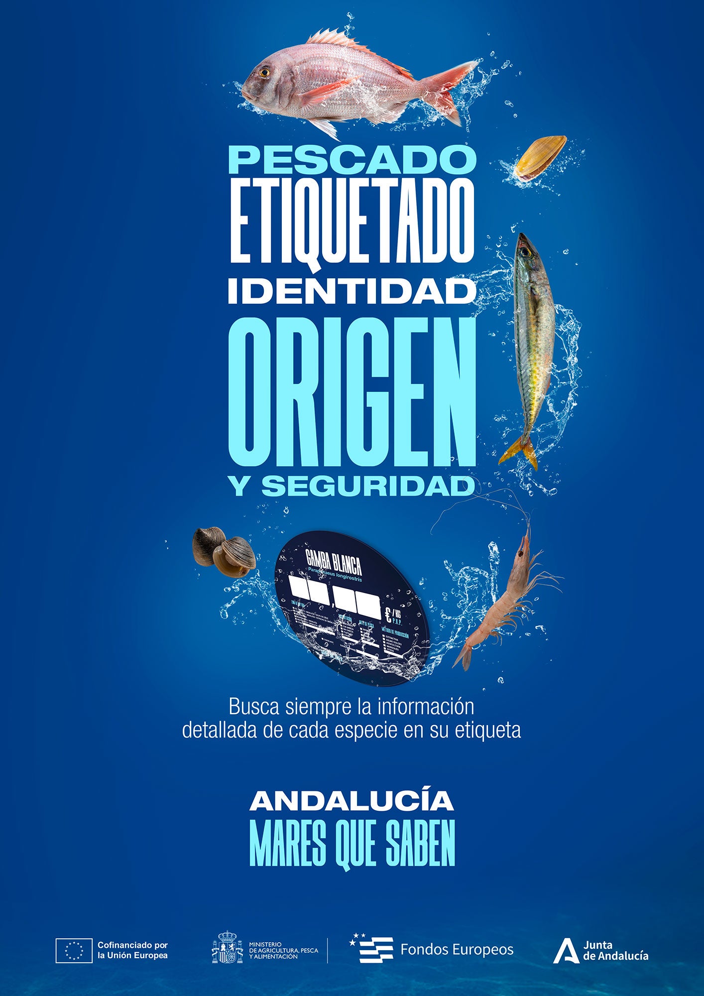 Ramón Fernández-Pacheco presenta 'Andalucía, Mares que Saben' Ramón Fernández-Pacheco presenta 'Andalucía, Mares que Saben'