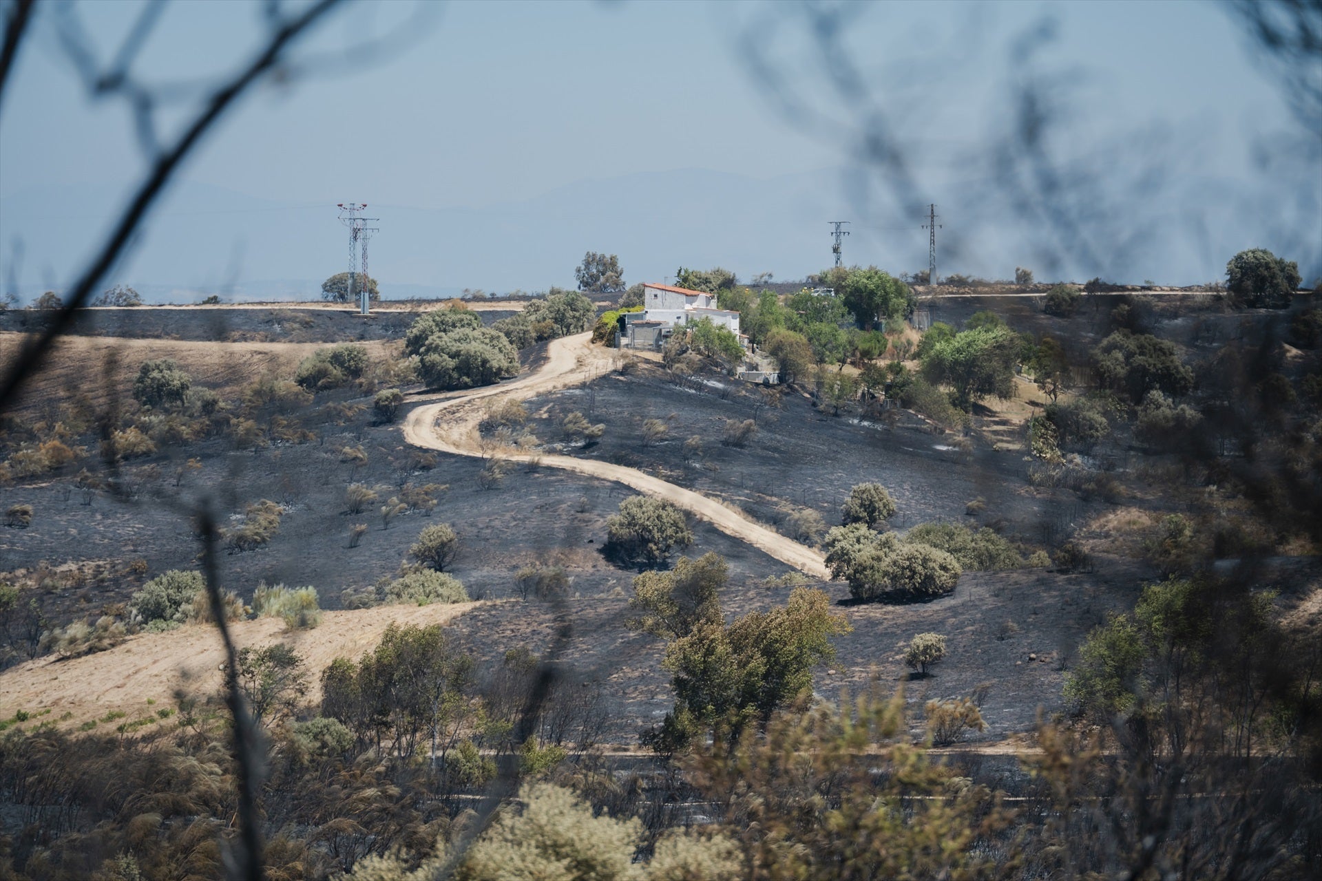 El lamento de un bombero del incendio de Méntrida: "Agotador, emocionalmente peor. Todo por 1300 euros" El lamento de un bombero del incendio de Méntrida: "Agotador, emocionalmente peor. Todo por 1300 euros"