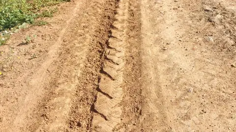 Labradores de Almendralejo exigen el arreglo de los caminos rurales ante el comienzo de la vendimia Labradores de Almendralejo exigen el arreglo de los caminos rurales ante el comienzo de la vendimia