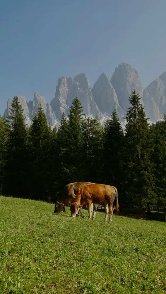 Südtirol, Italia Südtirol, Italia