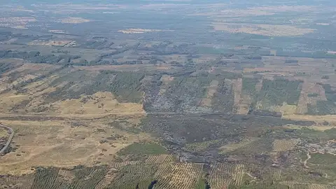 La Junta de Extremadura desactiva la Situación Operativa 1 del Plan INFOCAEX del incendio de Valdecaballeros La Junta de Extremadura desactiva la Situación Operativa 1 del Plan INFOCAEX del incendio de Valdecaballeros