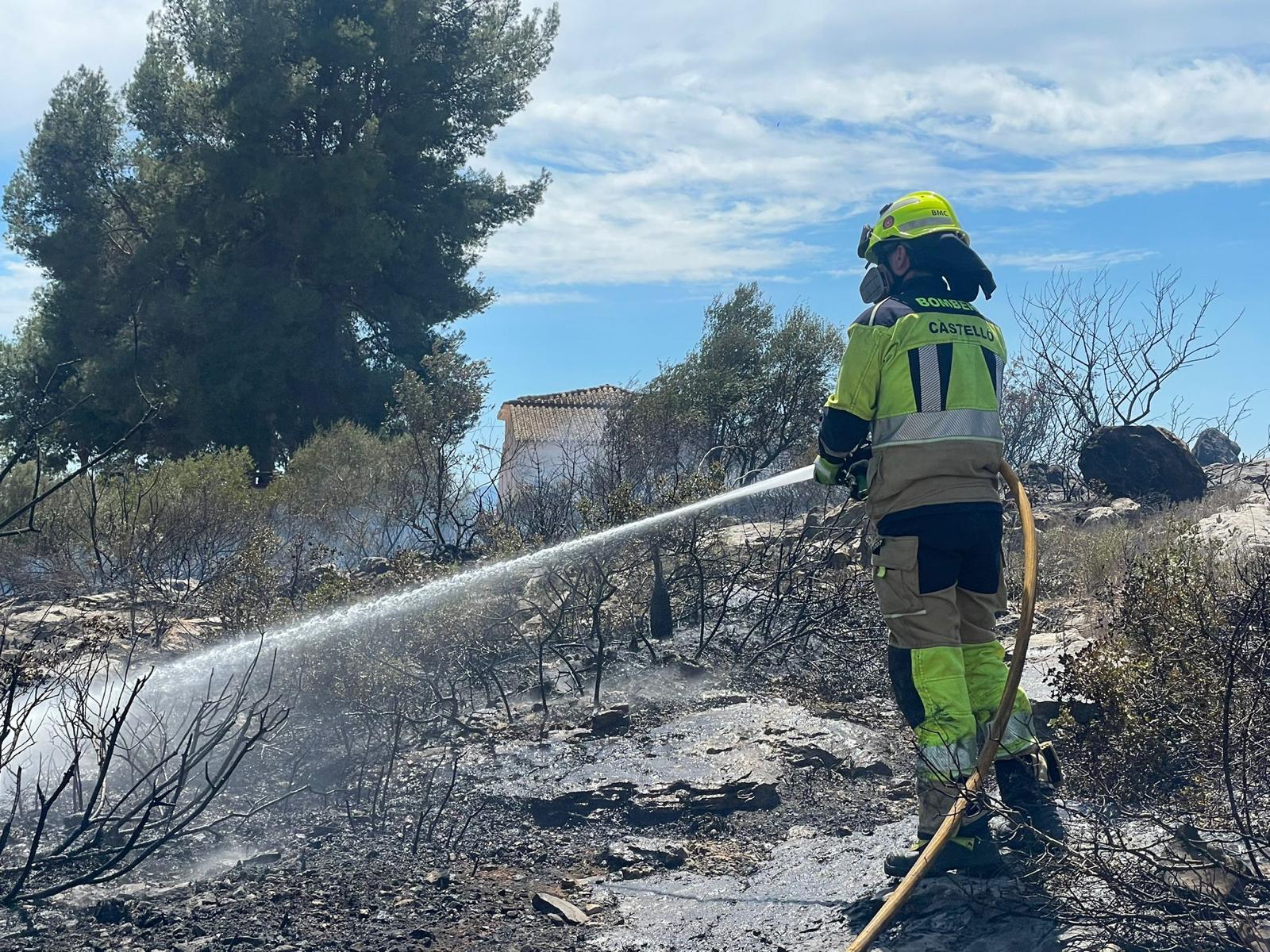 Tramitan cinco denuncias por usar paelleros prohibidos en el Pinar debido al alto riesgo de incendios Tramitan cinco denuncias por usar paelleros prohibidos en el Pinar debido al alto riesgo de incendios