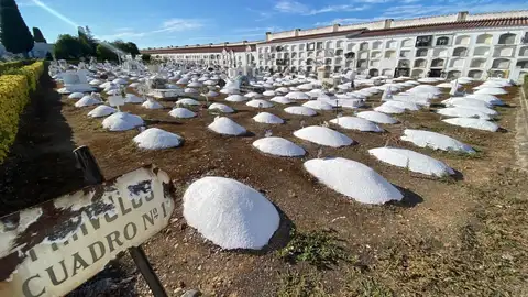 Los grupos políticos del Ayuntamiento de Badajoz apoyan la propuesta del PSOE de pedir que el Cementerio Viejo sea BIC Los grupos políticos del Ayuntamiento de Badajoz apoyan la propuesta del PSOE de pedir que el Cementerio Viejo sea BIC