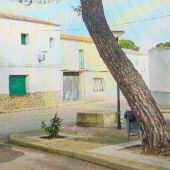 Uno de los árboles inclinados de Villalba de Calatrava