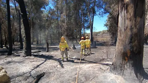 El Plan Infoex da por controlado el incendio de Valdecaballeros El Plan Infoex da por controlado el incendio de Valdecaballeros