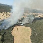 Controlado el incendio declarado este lunes en Piedrabuena 