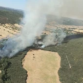 Controlado el incendio declarado este lunes en Piedrabuena Controlado el incendio declarado este lunes en Piedrabuena