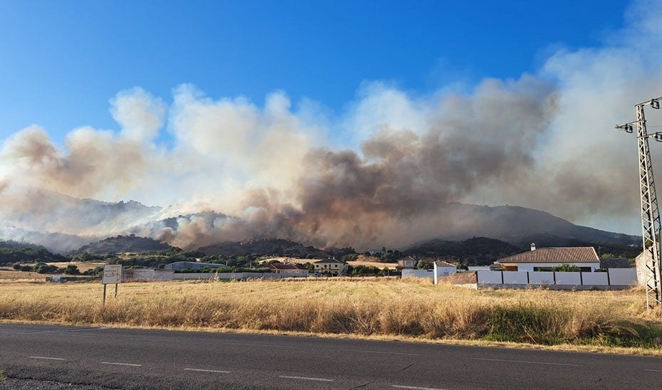 El incendio de Córdoba que ha obligado a desalojar a 500 personas está "contenido" El incendio de Córdoba que ha obligado a desalojar a 500 personas está "contenido"