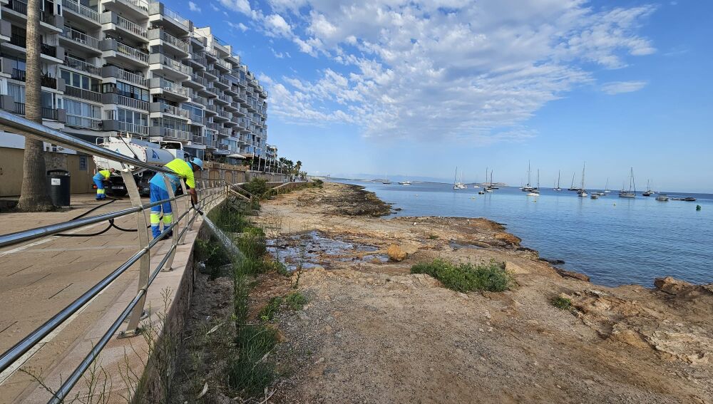 Imagen de los trabajos de limpieza de la Playa de Caló des Moro