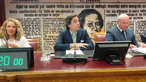 José Manuel Clamagirand, Director de Agua y Medio Ambiente de Sener ( centro) en la Comisión Apagón del Senado José Manuel Clamagirand, Director de Agua y Medio Ambiente de Sener ( centro) en la Comisión Apagón del Senado