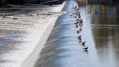 El Ayuntamiento de Badajoz advierte de problemas por la apertura de compuertas del azud en el Parque del Río El Ayuntamiento de Badajoz advierte de problemas por la apertura de compuertas del azud en el Parque del Río