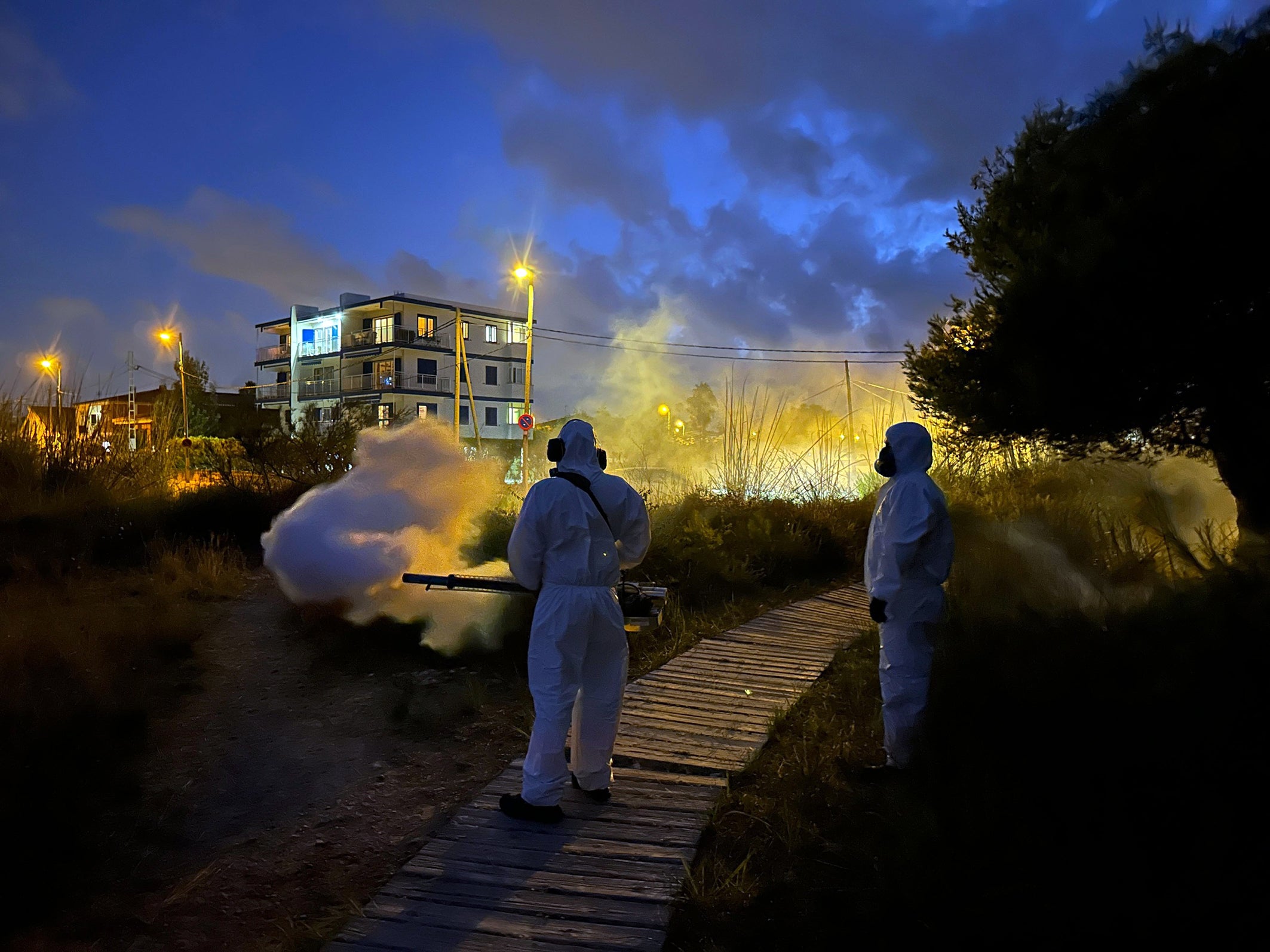 Sagunto intensifica la lucha contra los mosquitos con tratamientos nocturnos de nebulización térmica Sagunto intensifica la lucha contra los mosquitos con tratamientos nocturnos de nebulización térmica