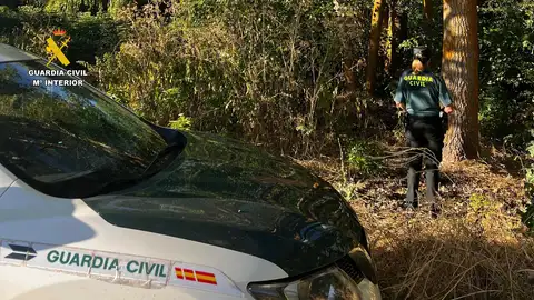 Localizada la vecina de Herrera de Pisuerga que se encontraba desaparecida .