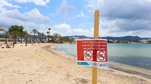 Cartel informativo del cierre de la Platja de s'Arenal de Sant Antoni 