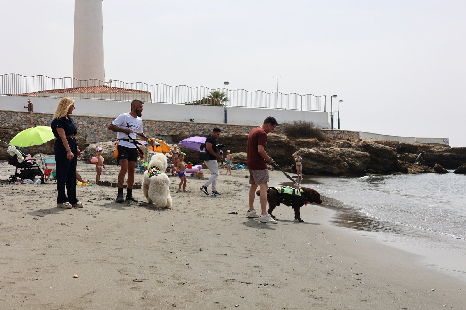 Los perros socorristas de la costa malagueña Los perros socorristas de la costa malagueña