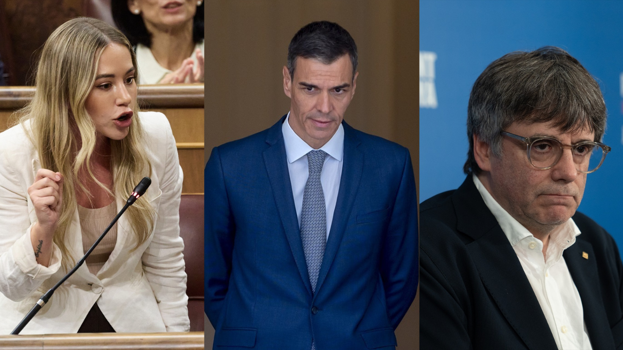 Por qué hay políticos que mienten sobre su formación: la explicación sociológica a esta lacra Por qué hay políticos que mienten sobre su formación: la explicación sociológica a esta lacra