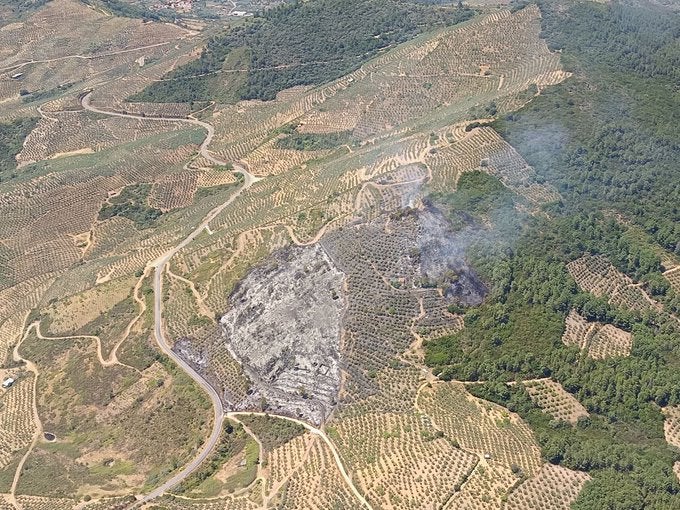 Estabilizado un incendio forestal en Mohedas de Granadilla Estabilizado un incendio forestal en Mohedas de Granadilla